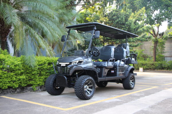 Golfcart LQD041+2